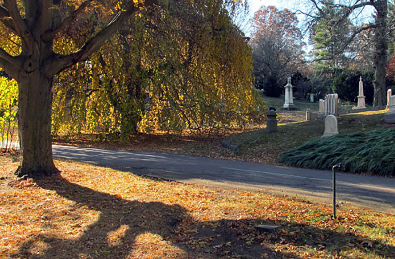 A Stroll Through Mount Auburn