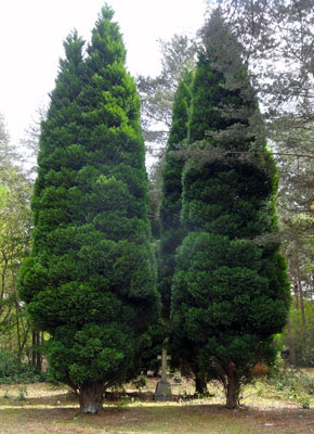 Brookwood Cemetery