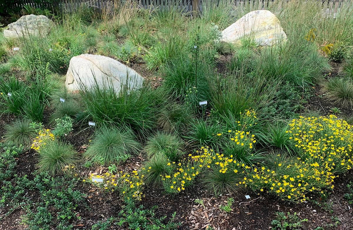 Cooke House and Legacy Gardens