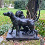 06416HoundGroup5173SF