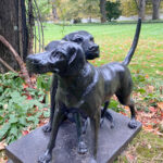 06416HoundGroup5176SF