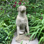 06636HoundDog1SF
