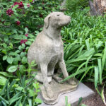 06636HoundDog2SF