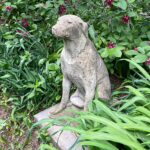06636HoundDog4SF
