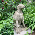 06636HoundDog6517SF