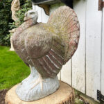 06640Turkeys11SF