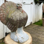 06640Turkeys12SF