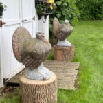 06640Turkeys2SFRetouch