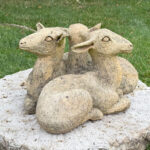 06669T-cFawnGroup7504SF