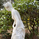 06642Bather8151SF
