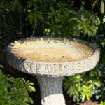 06722FauxBoisBirdbath8340SF